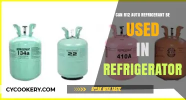 Using R12 Auto Refrigerant in Fridges: Safe or Risky?