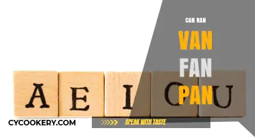 Mastering the Art of Can Ran Van Fan Pan