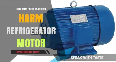 Rare Earth Magnets: Potential Risks to Refrigerator Motors Explained