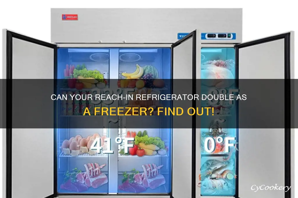can reach in refrigerator also be a freezer