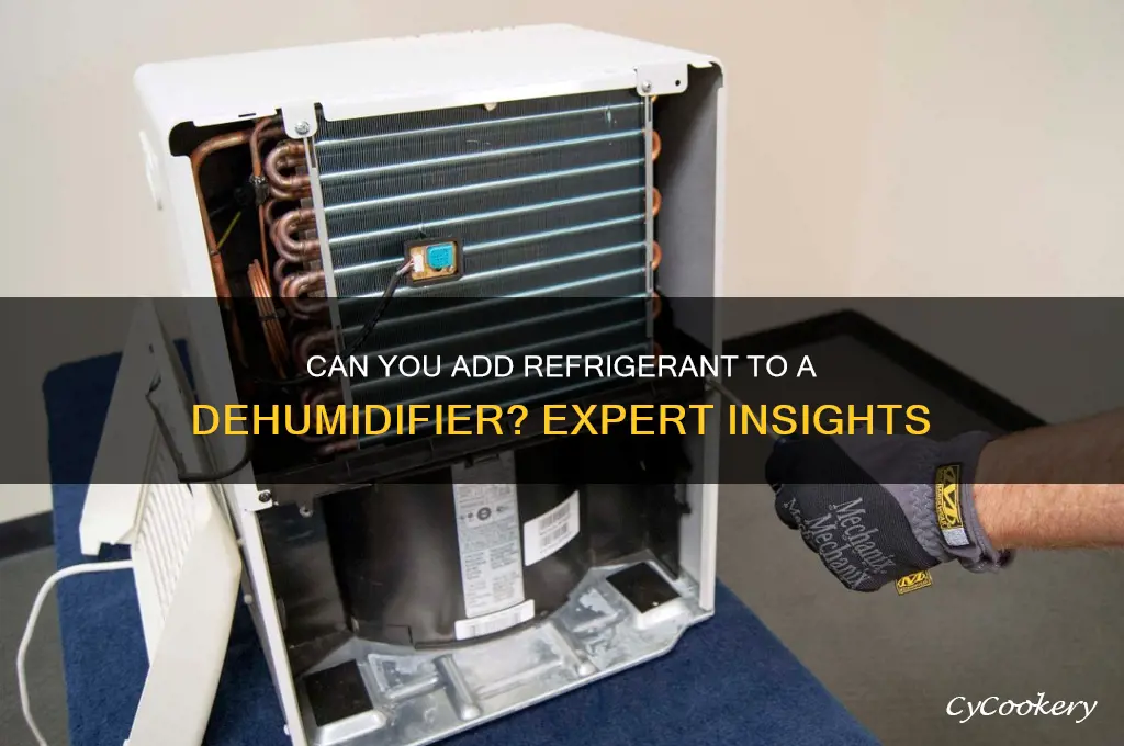 can refrigerant be added to a dehumidifier