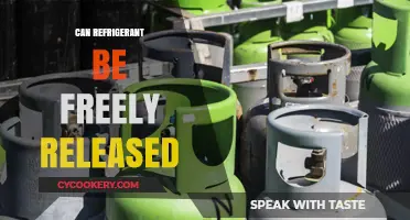 Is Releasing Refrigerant into the Environment Safe or Harmful?