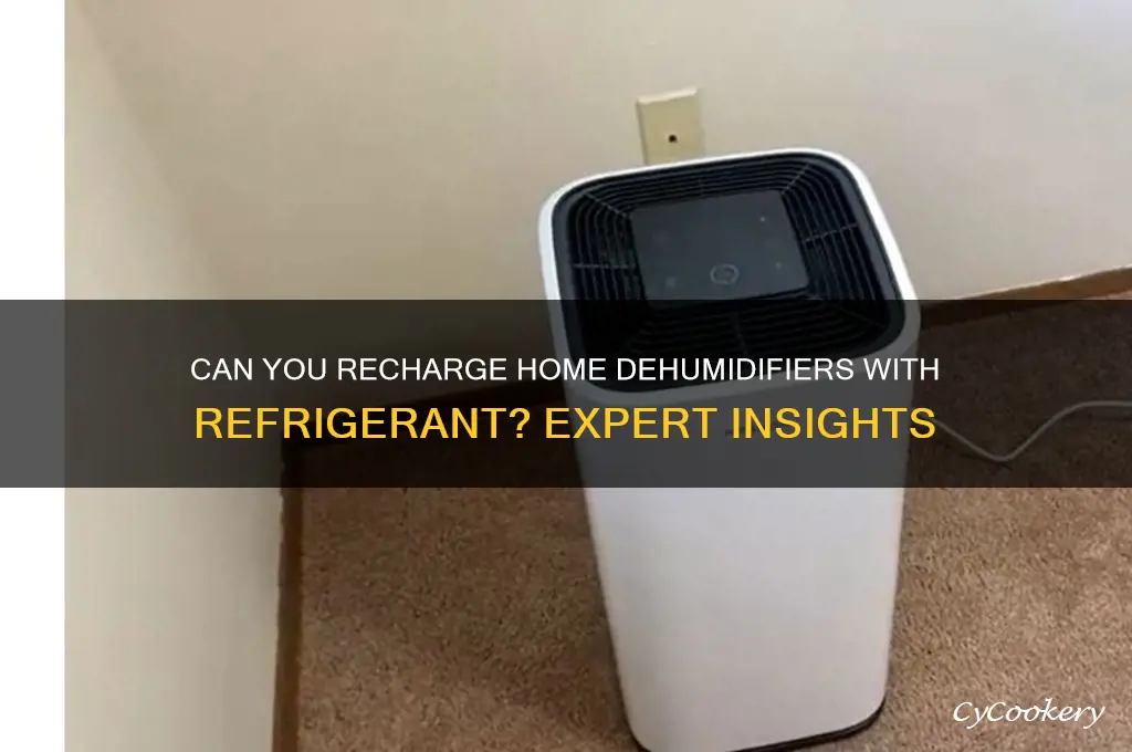 can refrigerant be readded to home dehumidifiers
