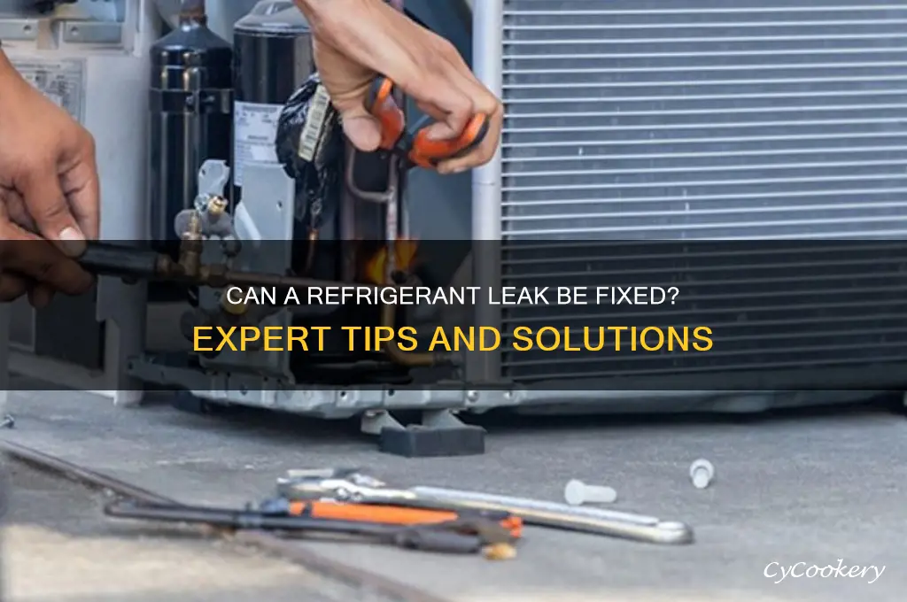 can refrigerant leak be fixed