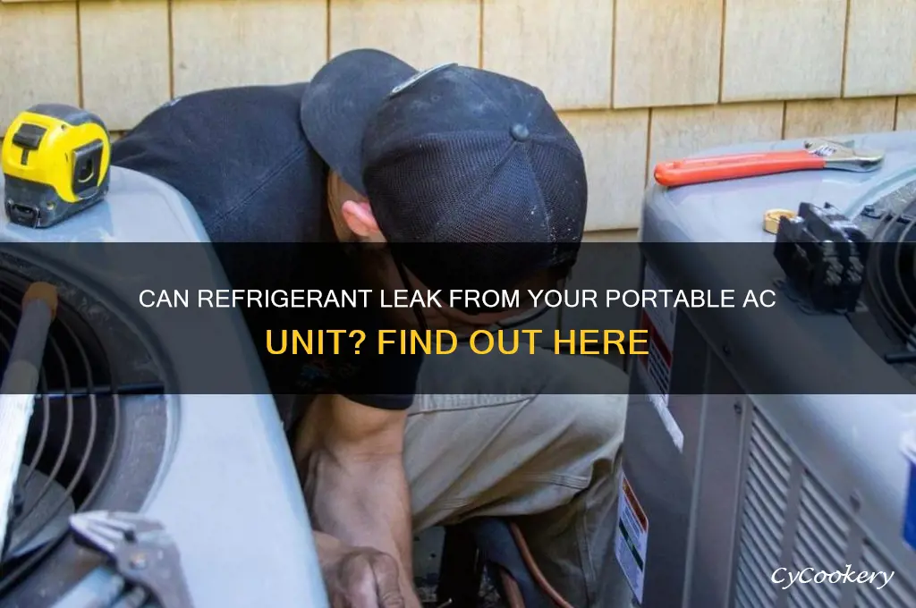 can refrigerant leak out of portable ac unit