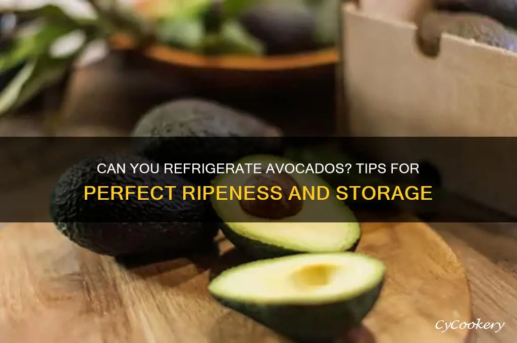 can refrigerate avocados