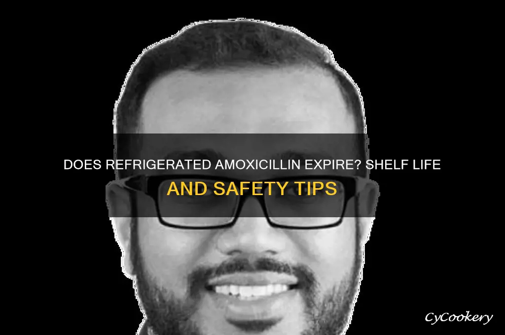 can refrigerated amoxicillin go bad