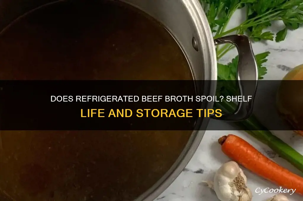 can refrigerated beef broth go bad