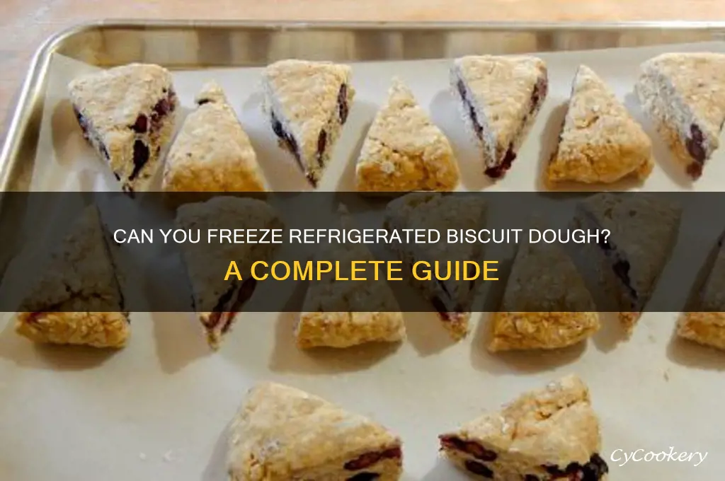 can refrigerated biscuit dough be frozen