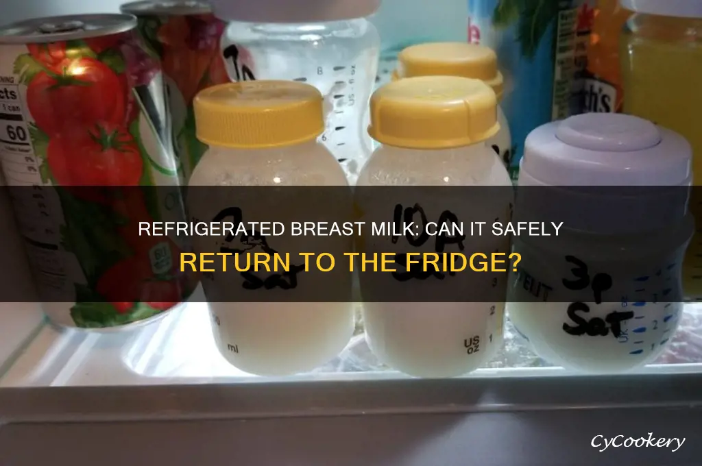can refrigerated breast milk be put back in fridge