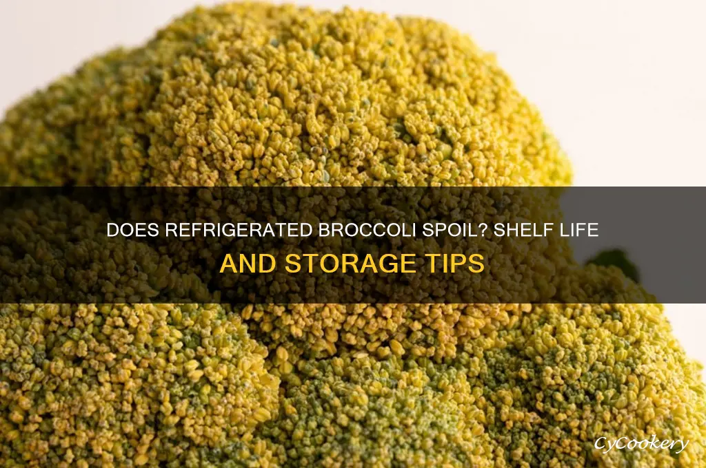 can refrigerated broccoli go bad