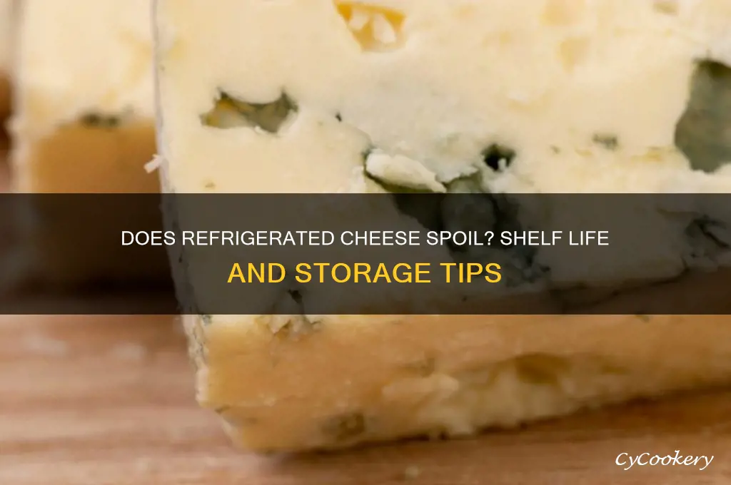 can refrigerated cheese go bad