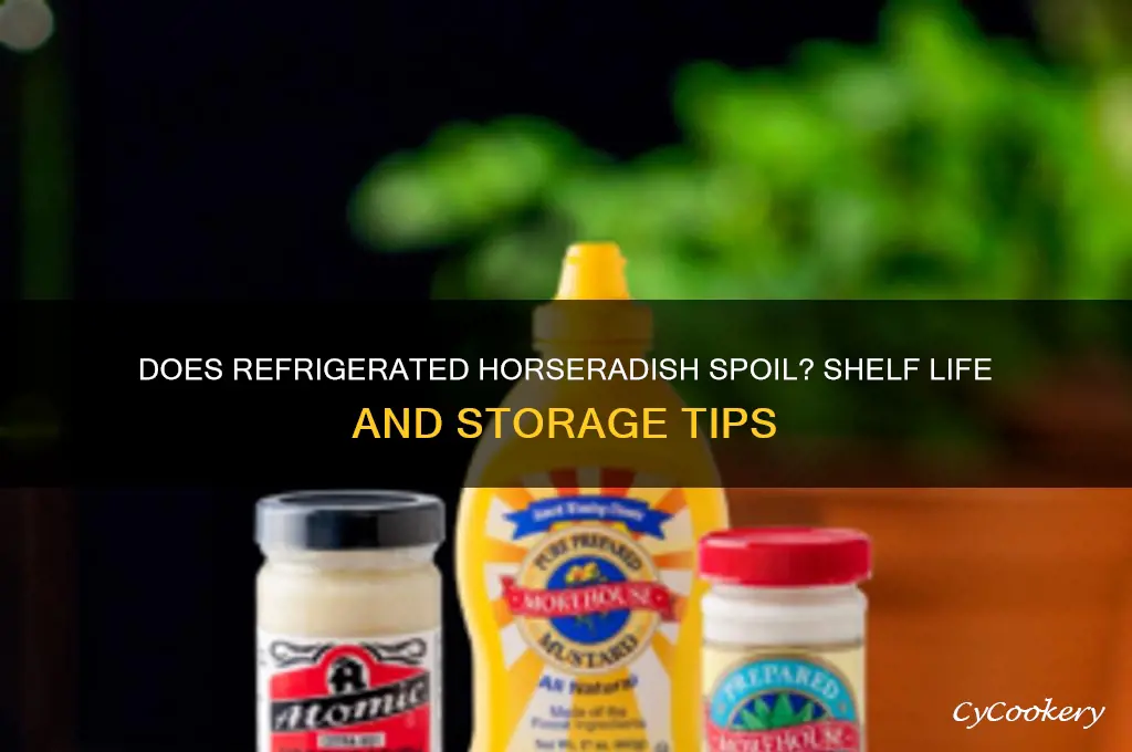 can refrigerated horseradish go bad
