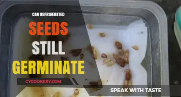 Refrigerated Seeds: Can They Still Sprout After Chilling?