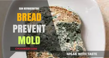Refrigerating Bread: Effective Mold Prevention or Temporary Solution?