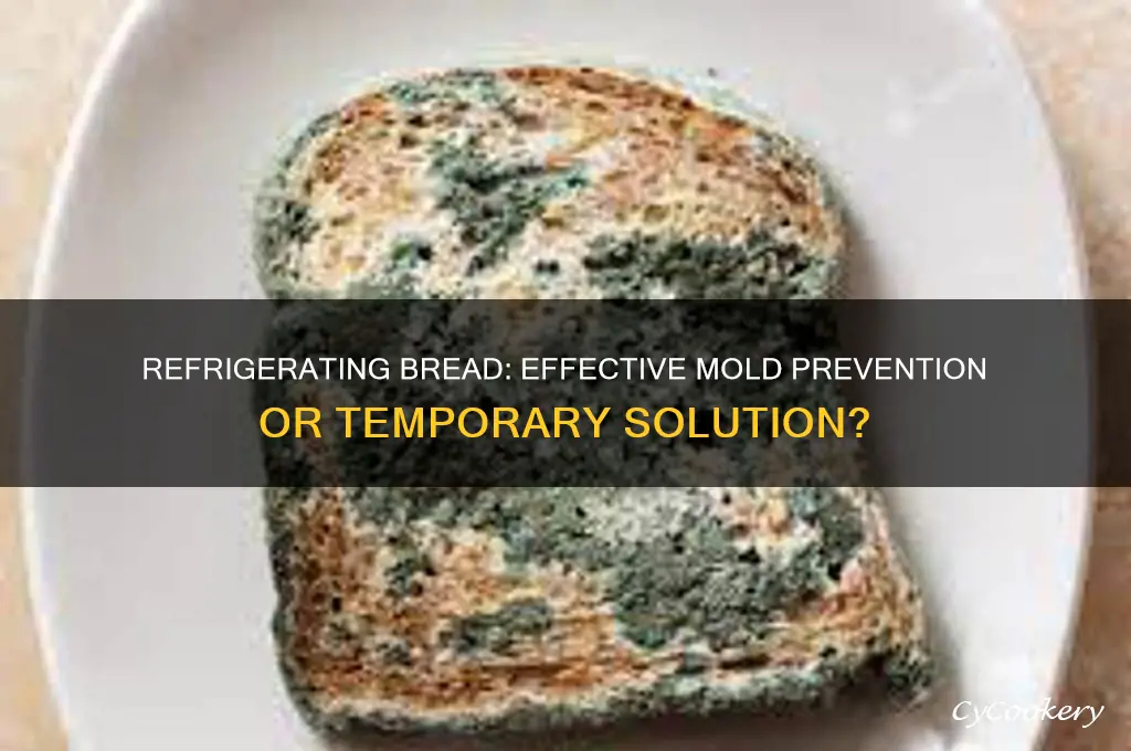 can refrigerating bread prevent mold