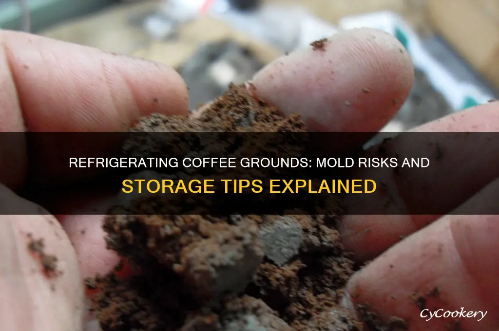 can refrigerating coffee grounds cause mold