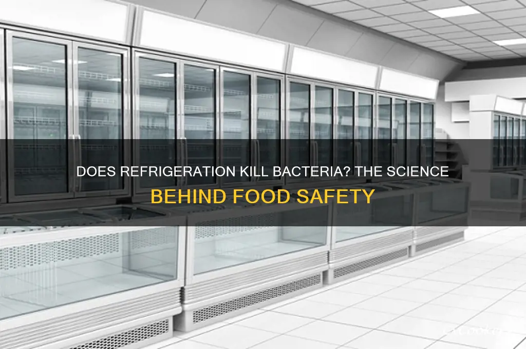 can refrigeration kill bacteria