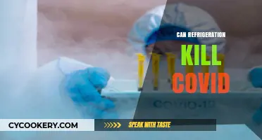 Refrigeration and COVID-19: Can Cold Temperatures Kill the Virus?