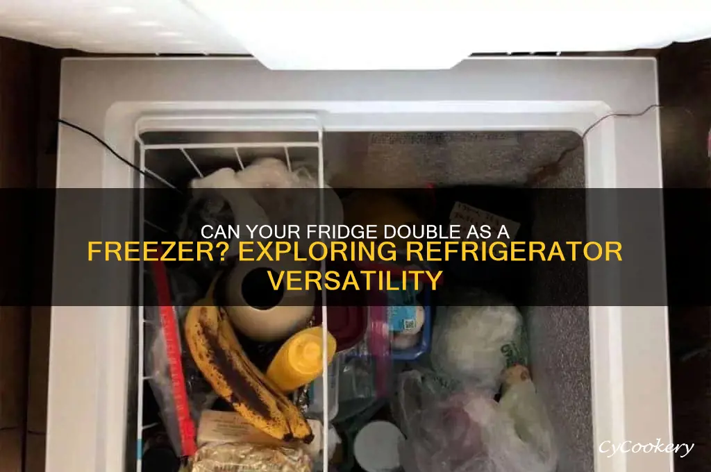 can refrigerator be a freezer