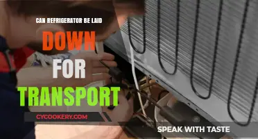 Can You Transport a Refrigerator on Its Side? Expert Tips