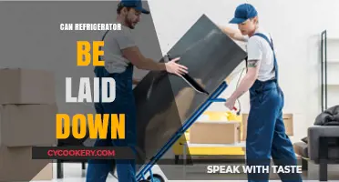 Can You Lay a Refrigerator Down? Essential Tips and Precautions