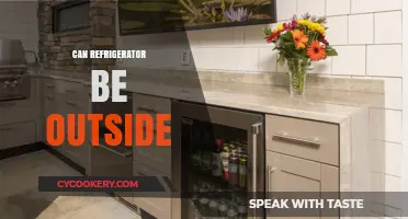 Can Refrigerators Be Placed Outside? Outdoor Use Tips and Risks