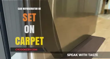 Can You Safely Place Your Refrigerator on Carpet? Expert Tips