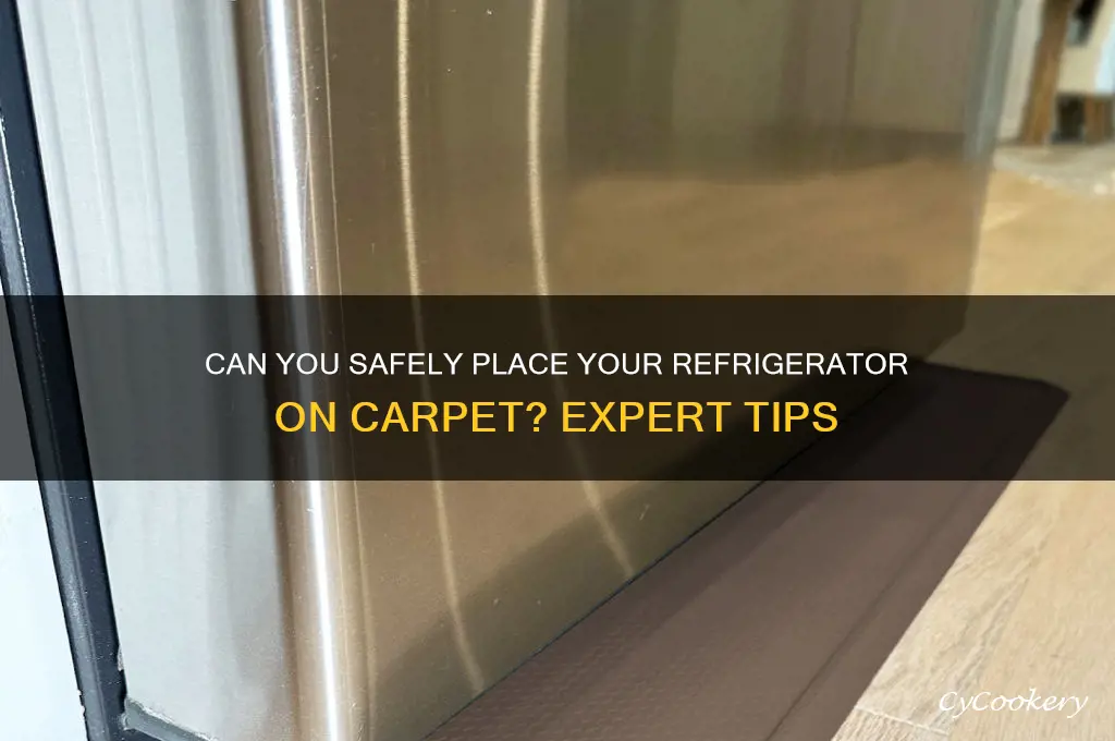 can refrigerator be set on carpet
