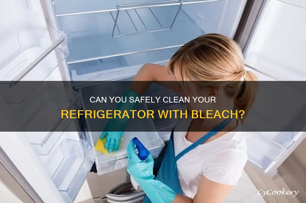can refrigerator be vleaed with bleach
