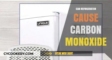 Can Your Refrigerator Leak Carbon Monoxide? Uncover the Hidden Risks