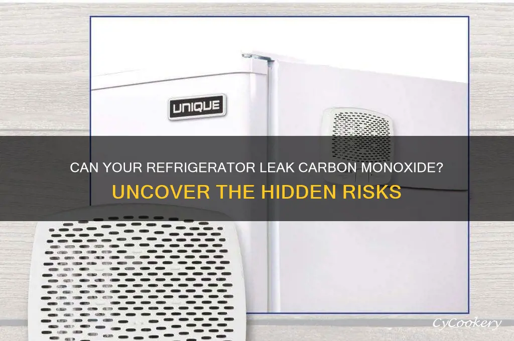 can refrigerator cause carbon monoxide