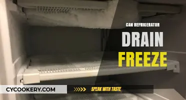 Can Your Refrigerator Drain Freeze? Causes and Prevention Tips