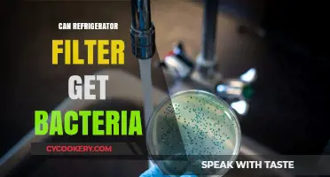 Can Your Fridge Filter Harbor Harmful Bacteria? Find Out Now