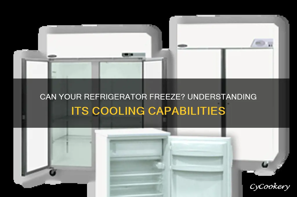 can refrigerator freeze
