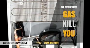 Refrigerator Gas Dangers: Can It Be Lethal to Humans?