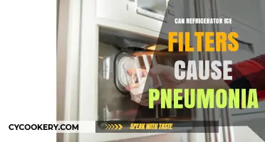 Can Refrigerator Ice Filters Lead to Pneumonia? Uncovering the Truth