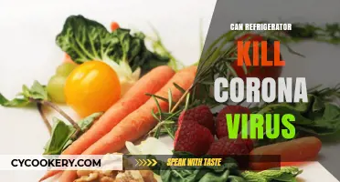 Can Refrigerators Kill Coronavirus? Exploring Cold Storage and Virus Survival
