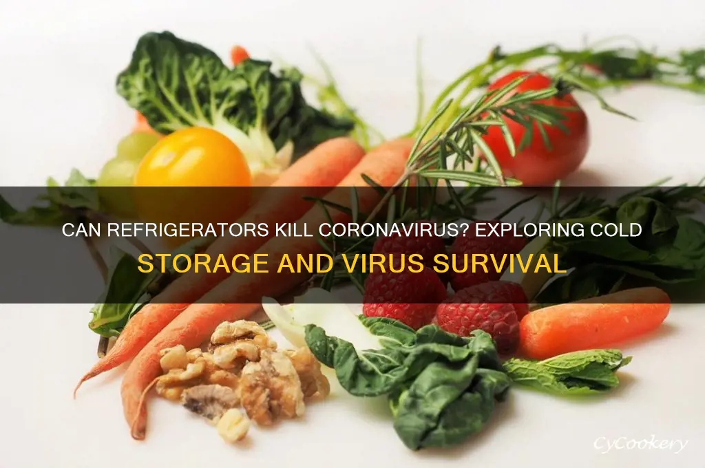 can refrigerator kill corona virus