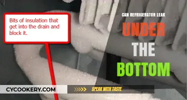 Can Your Refrigerator Leak Underneath? Causes and Quick Fixes