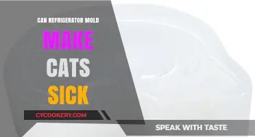 Can Mold from Your Fridge Harm Your Cat's Health?