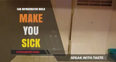 Refrigerator Mold Risks: Can It Make You Sick? Find Out Now