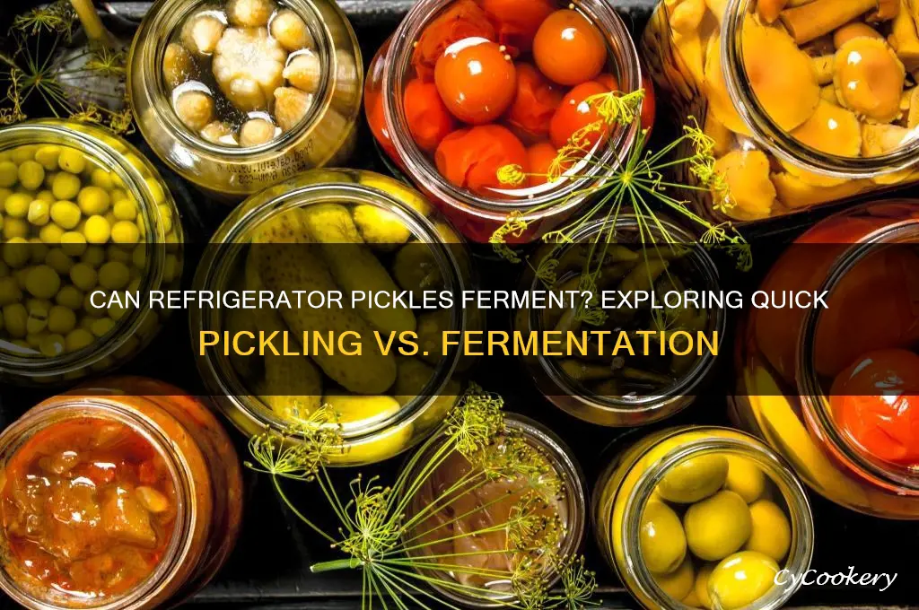 can refrigerator pickles ferment