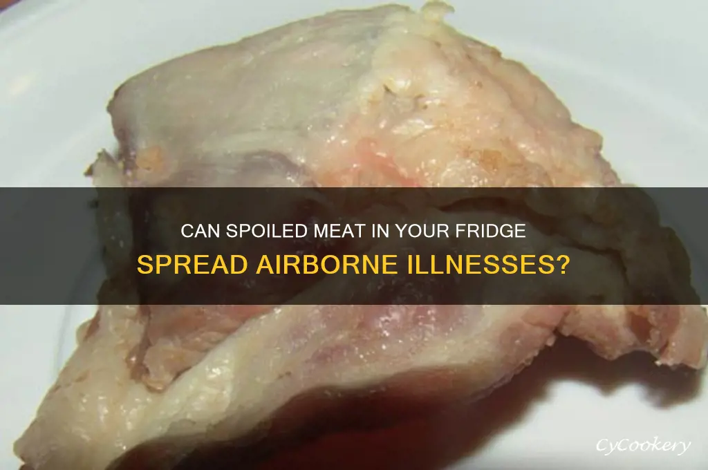 can refrigerator rotten meat cause airborne disease