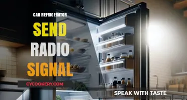 Can Your Fridge Broadcast? Exploring Radio Signals from Refrigerators