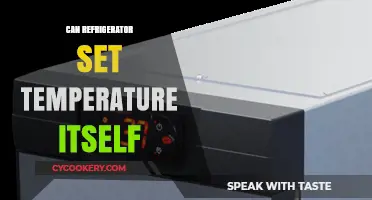 Smart Fridges: Can Your Refrigerator Adjust Its Own Temperature?