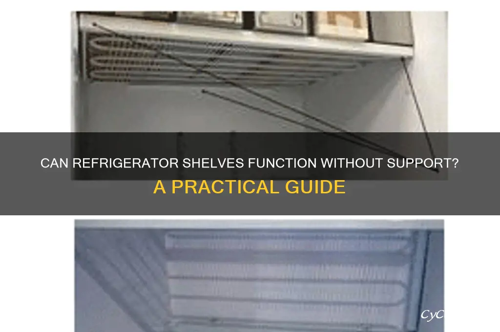 can refrigerator shelf be without support