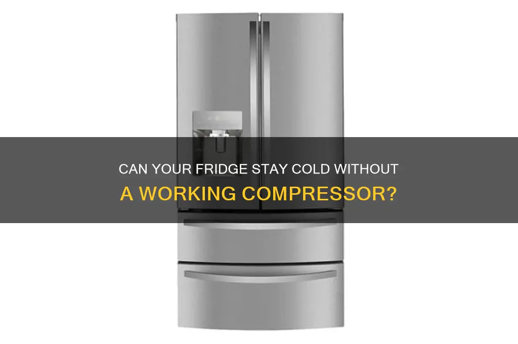 can refrigerator still be cold when compressor isn
