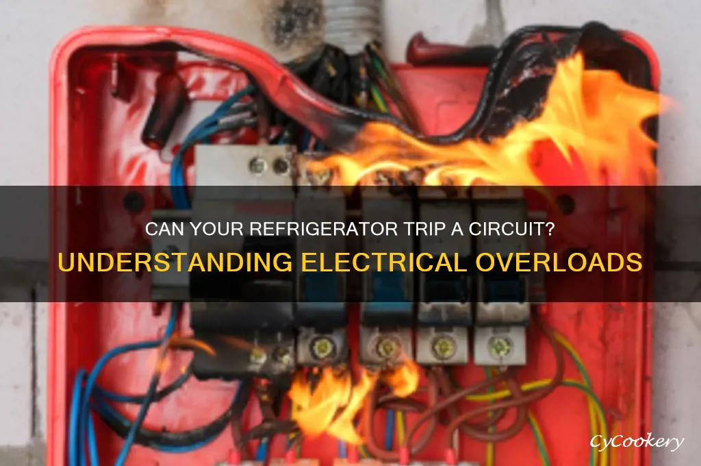 can refrigerator trip a circuit