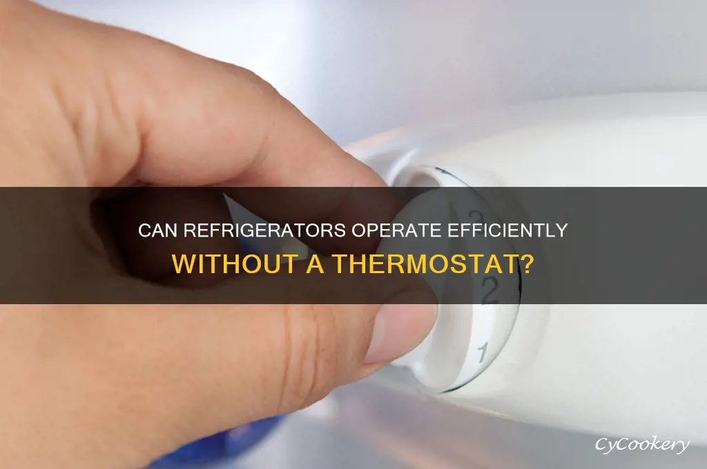 can refrigerator work without thermostat